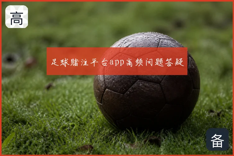足球赌注平台app高频问题答疑
