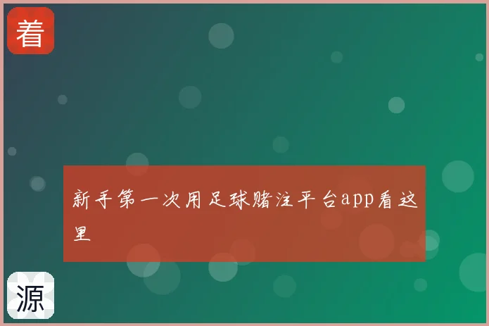 新手第一次用足球赌注平台app看这里